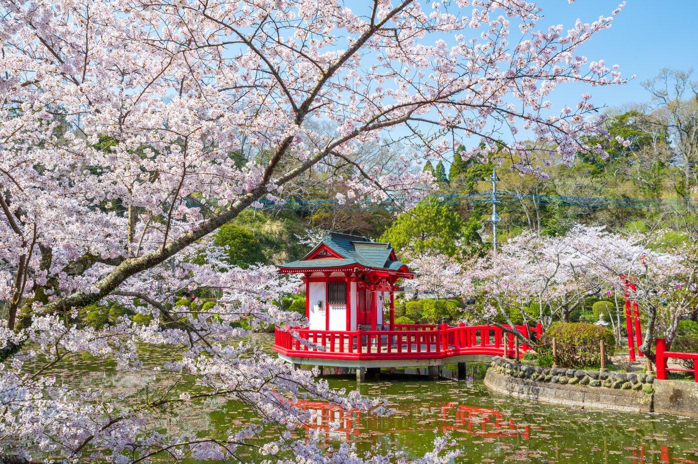 茂原公園の写真