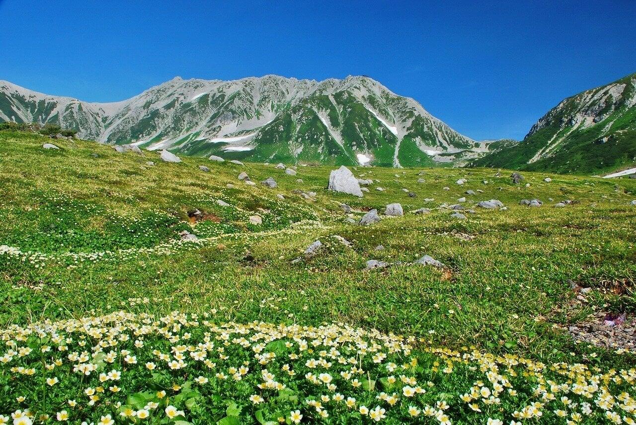 立山室堂平の写真