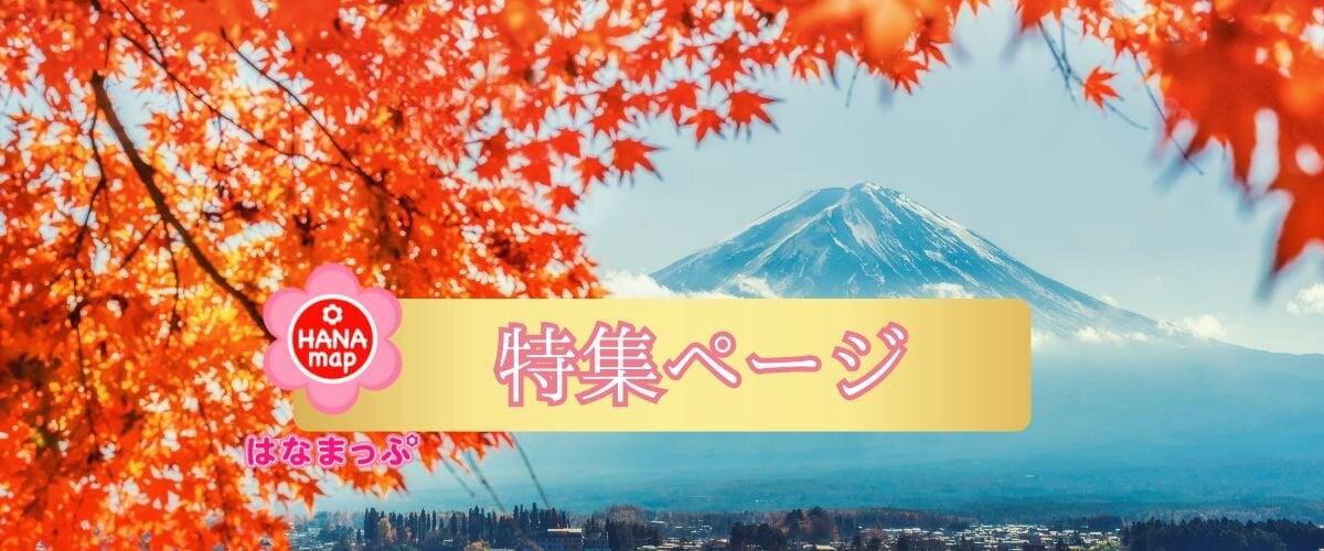 飛鳥の小径の写真