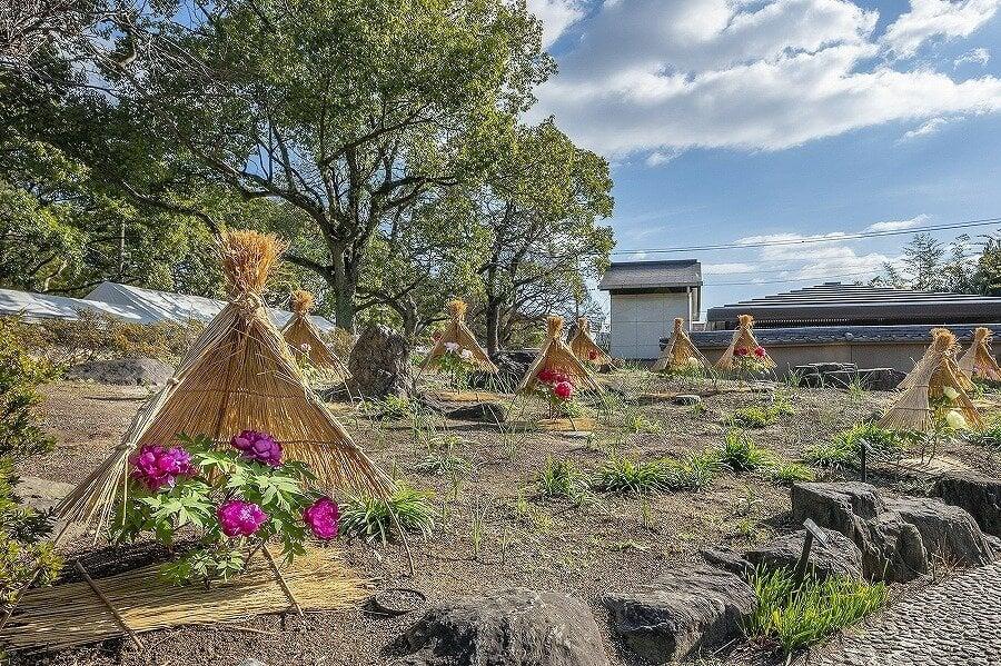 筥崎宮(神苑花庭園)の写真