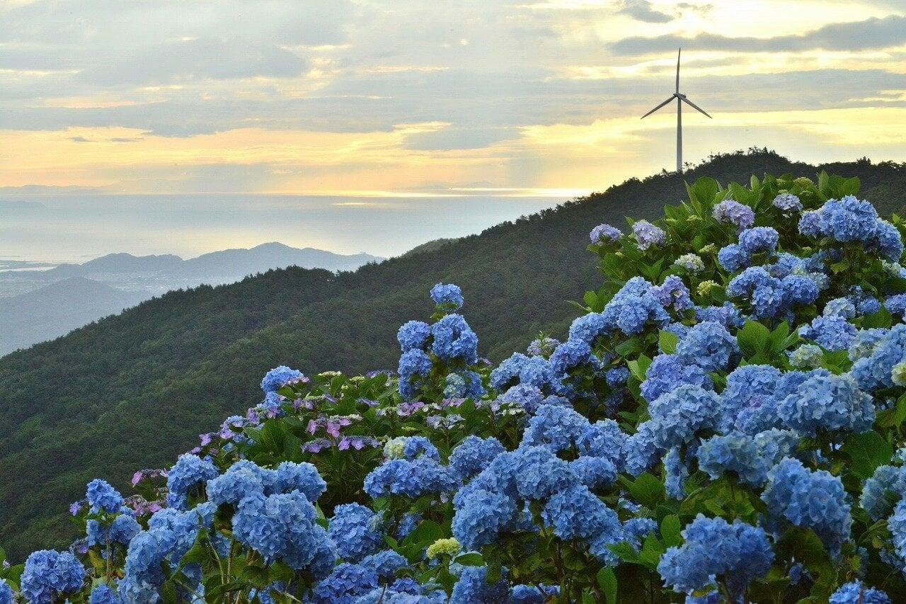 大川原高原の写真