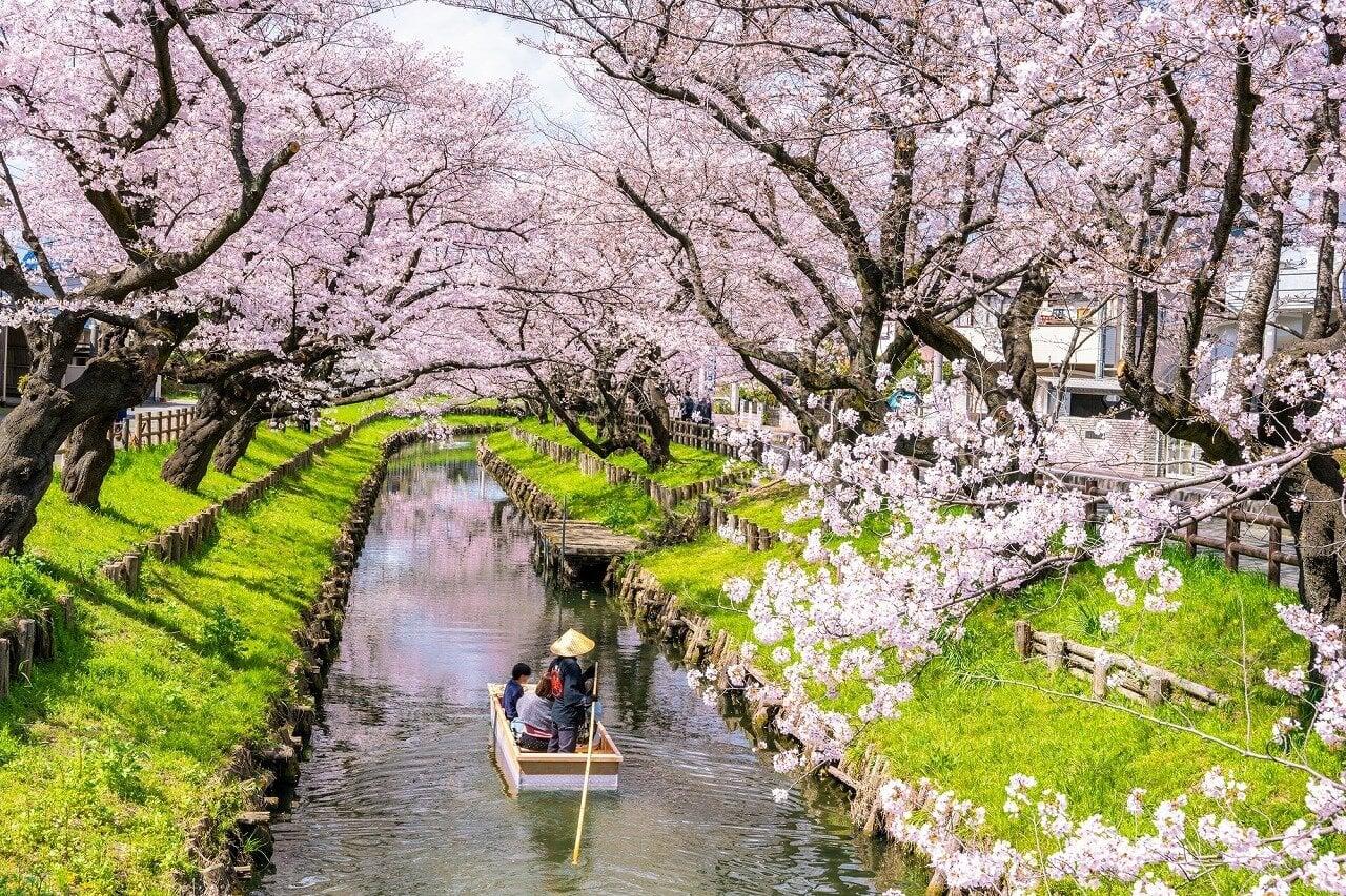 新河岸川 氷川橋付近の写真