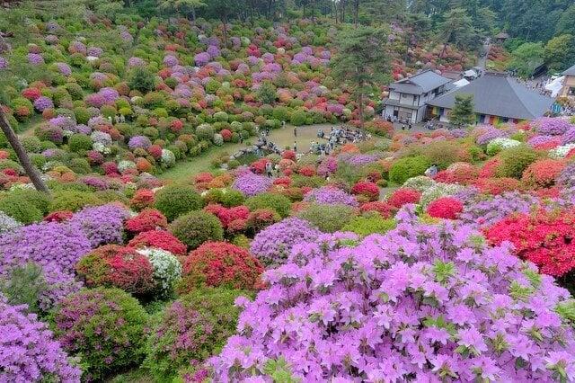 塩船観音寺の写真
