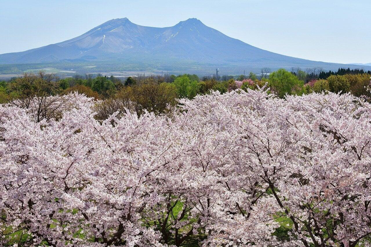 オニウシ公園の写真