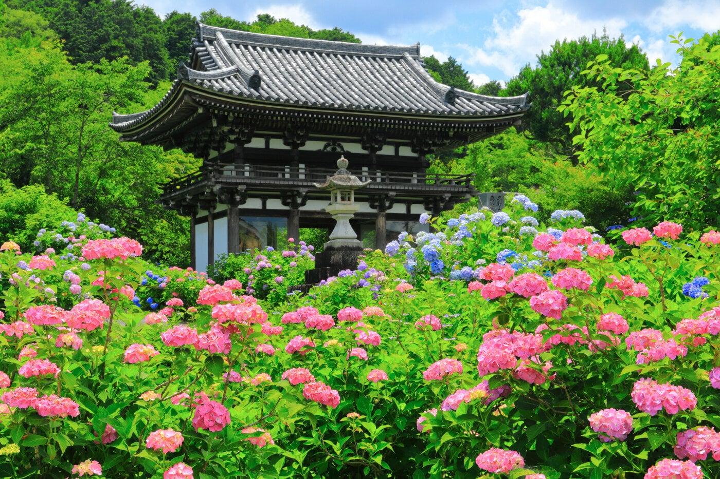 観音寺(華観音寺・丹州観音寺)の写真