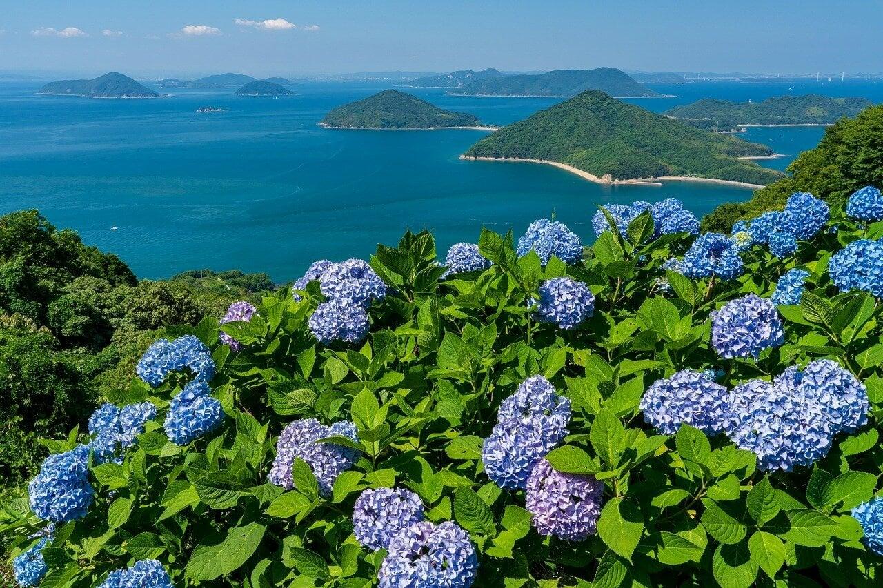 紫雲出山の写真