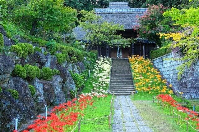西方寺の写真