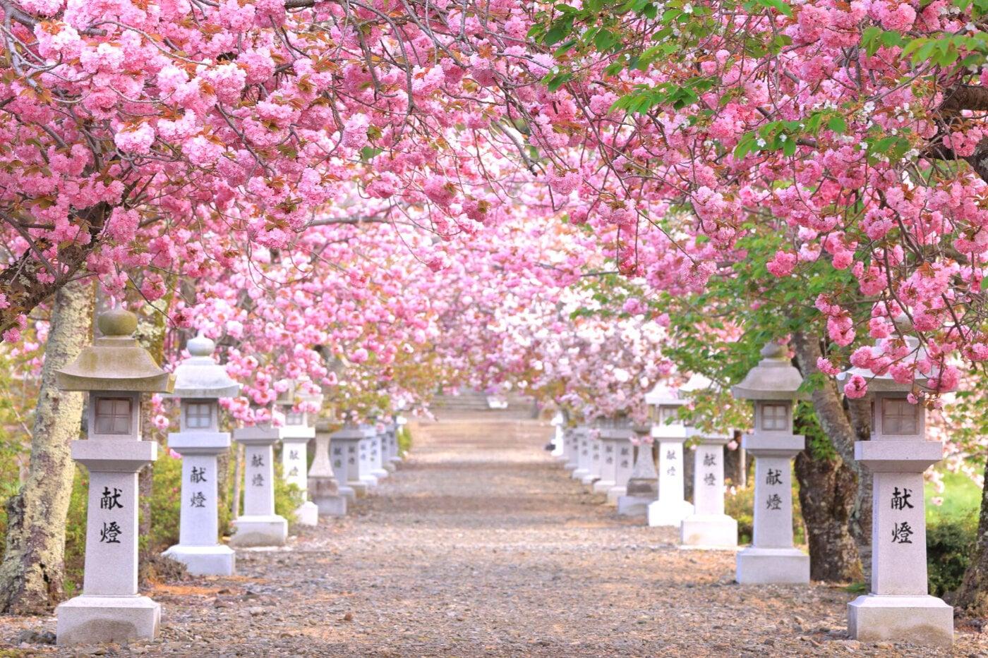伊香具神社の写真