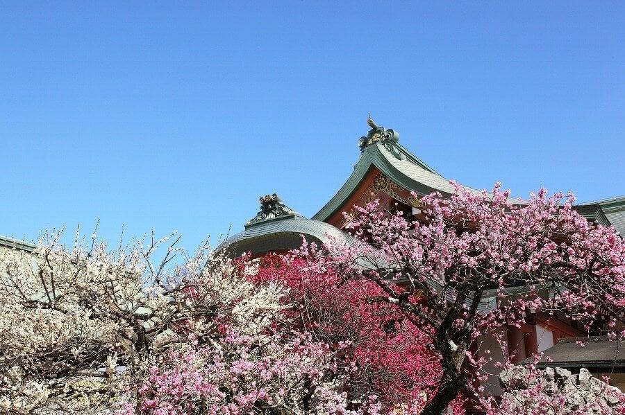 北野天満宮の写真