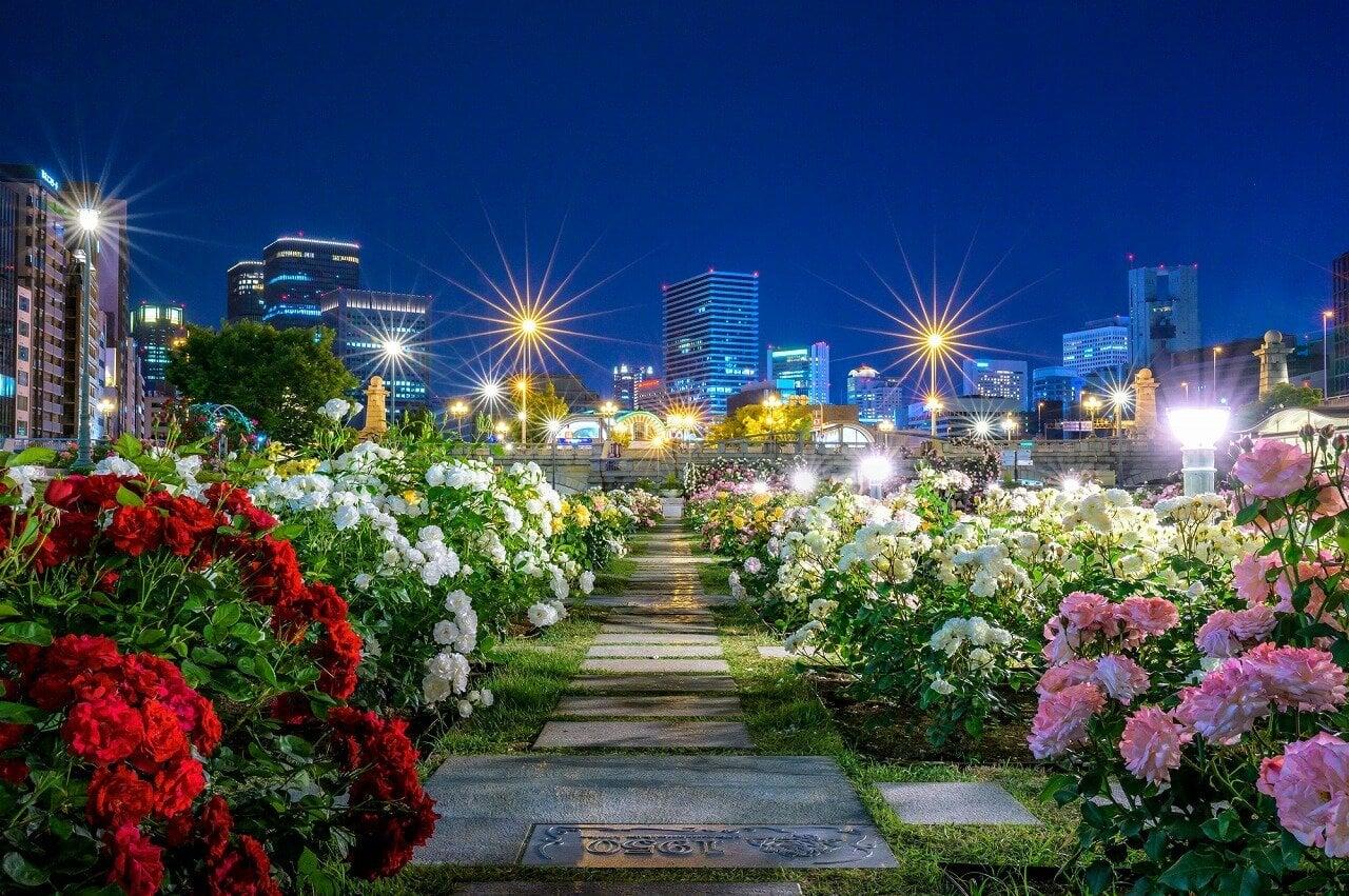 中之島公園の写真
