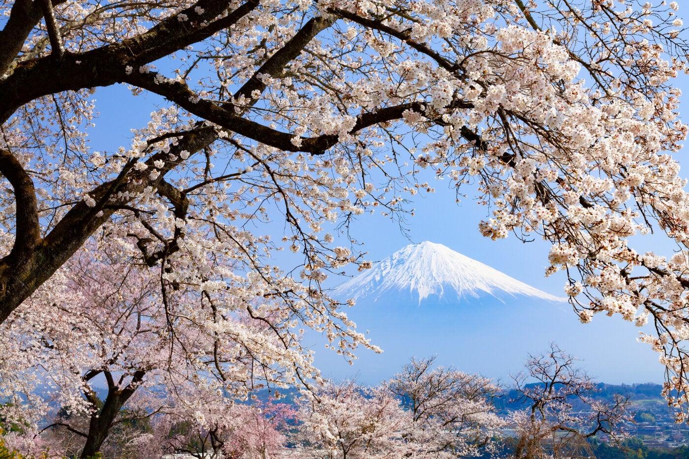興徳寺の写真