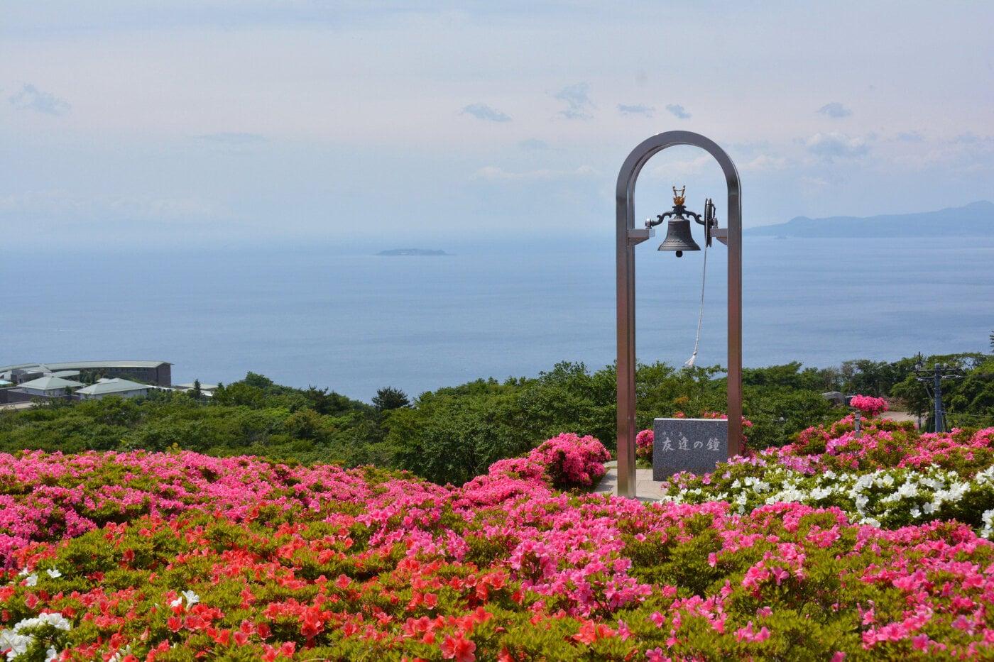 星ヶ山公園さつきの郷の写真