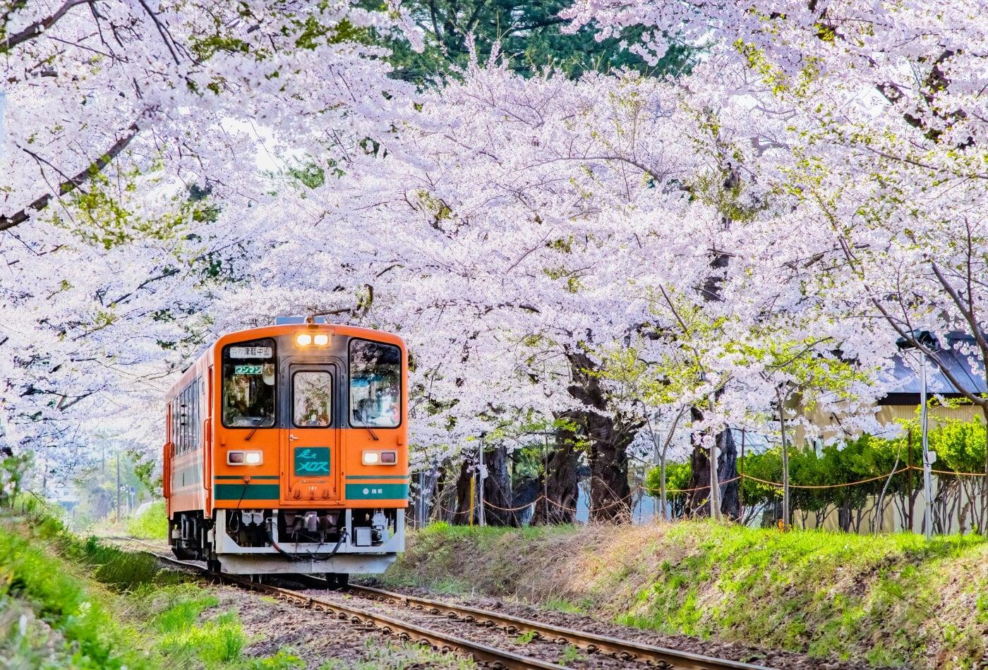 芦野公園の写真
