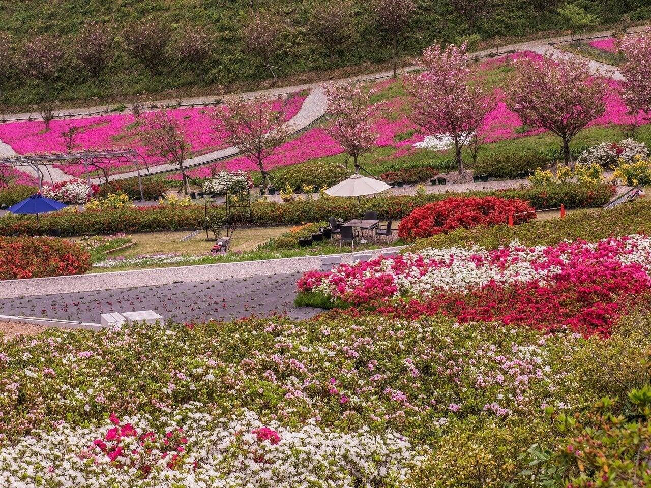 花郷OKADAの写真