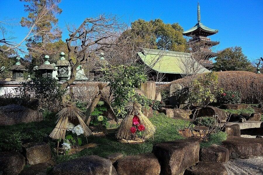 上野東照宮ぼたん苑の写真