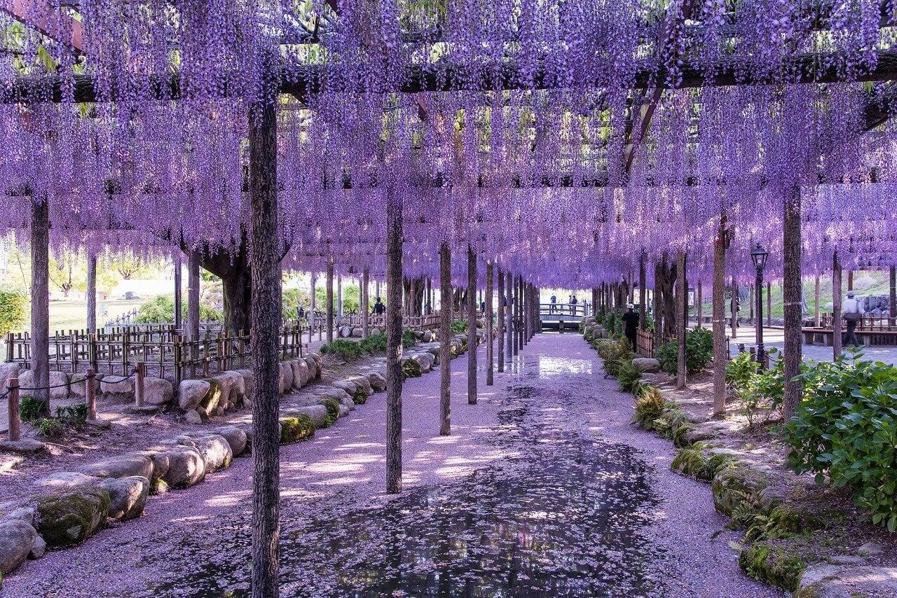 天王川公園の写真