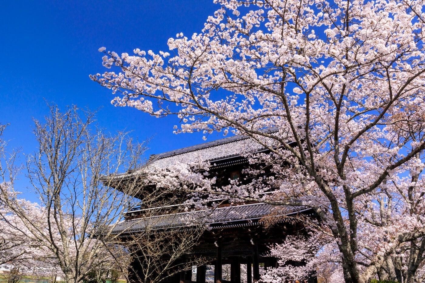 根來寺の写真
