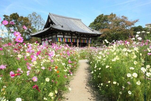 般若寺の写真