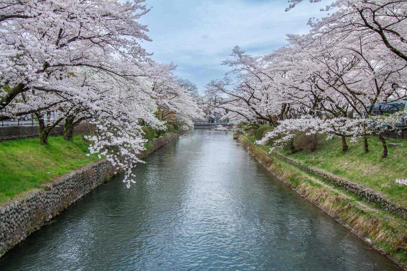 羽村花と水のまつりの写真