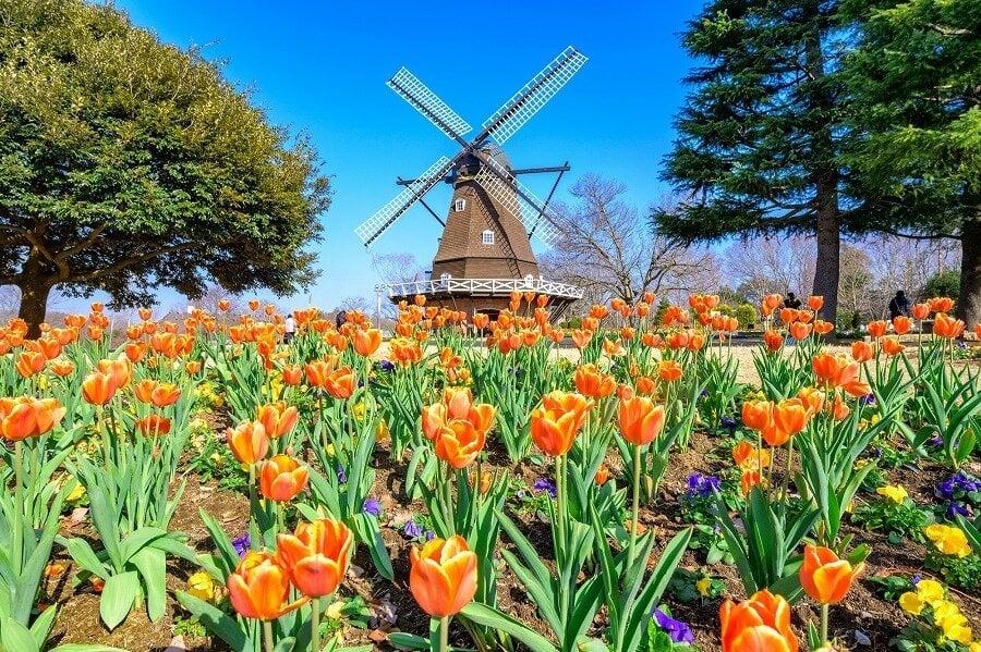 ふなばしアンデルセン公園の写真