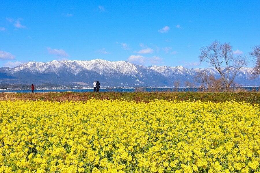 守山第一なぎさ公園の写真