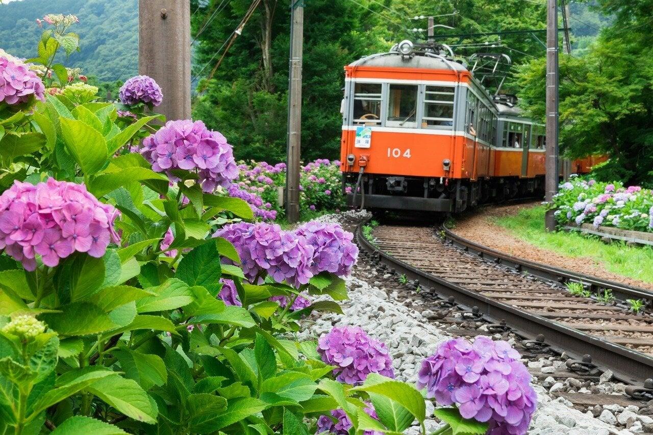 箱根登山鉄道の写真