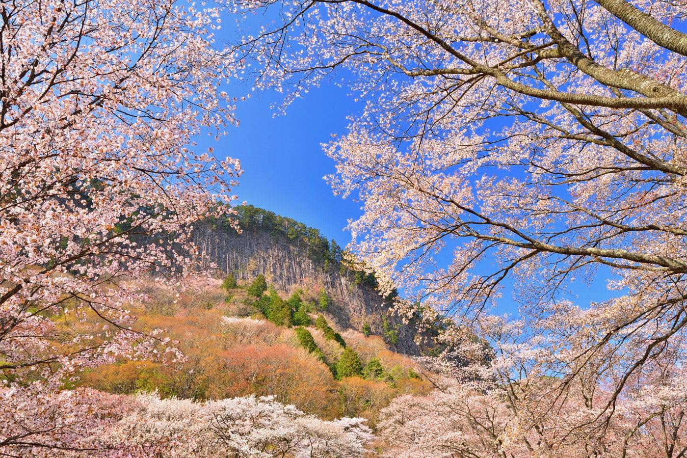 屏風岩公苑の写真