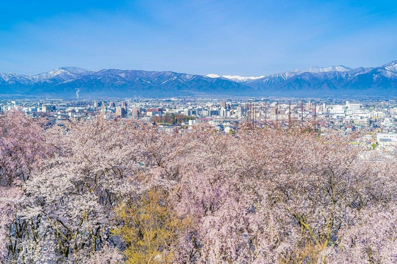 弘法山古墳の写真