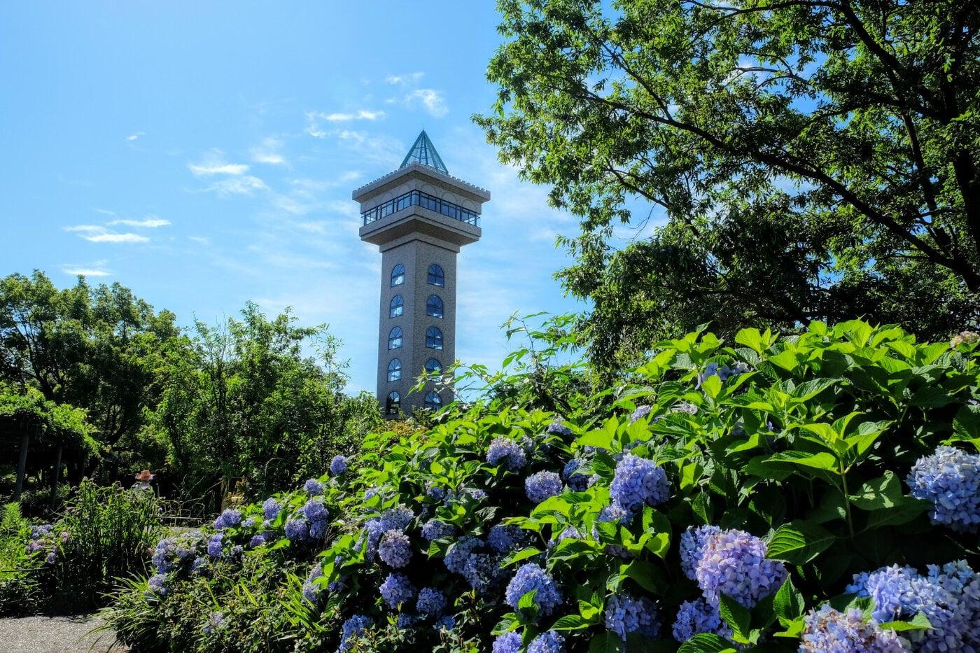 相模原麻溝公園の写真