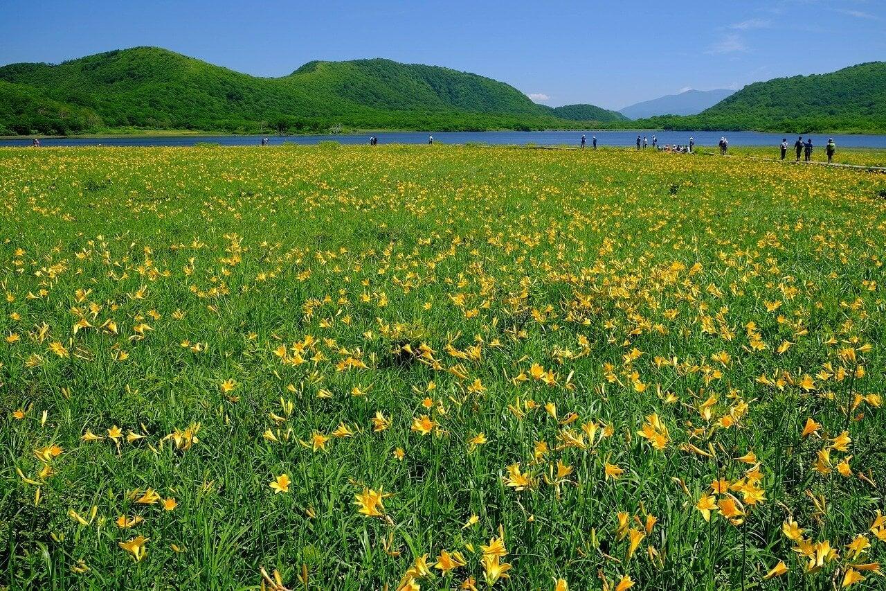 雄国沼湿原の写真