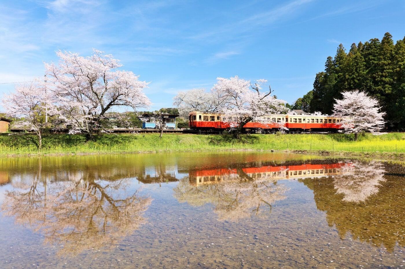 小湊鉄道の写真