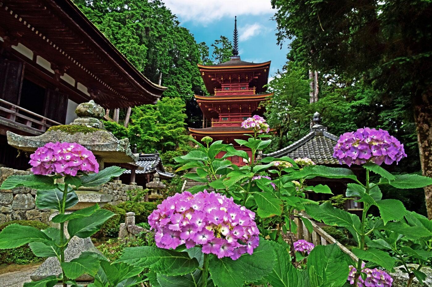 長命寺の写真