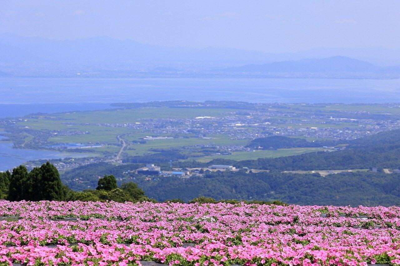 びわこ箱館山の写真