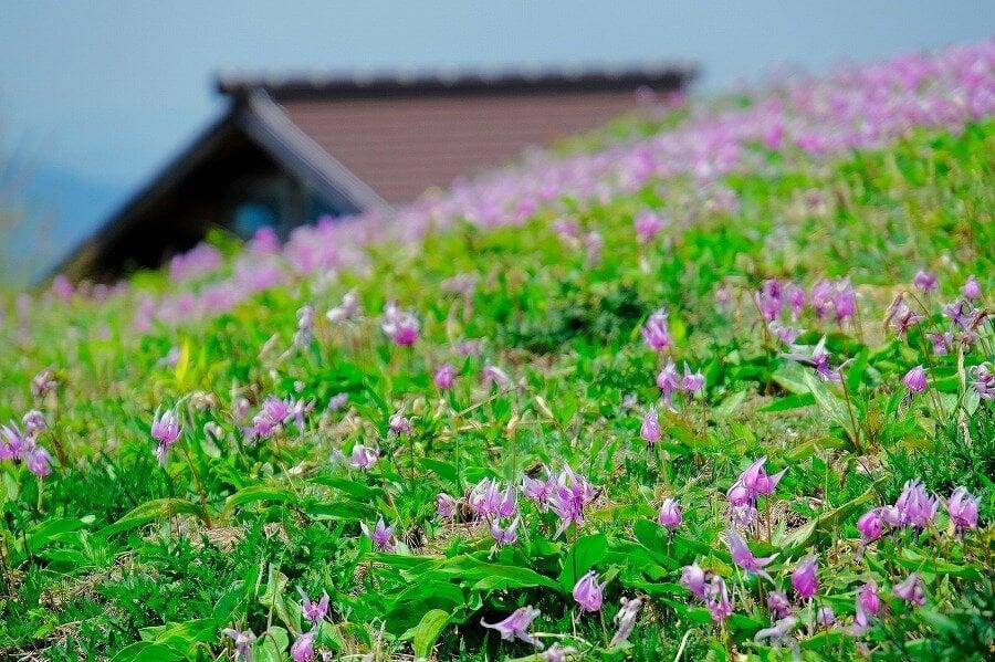 船通山の写真