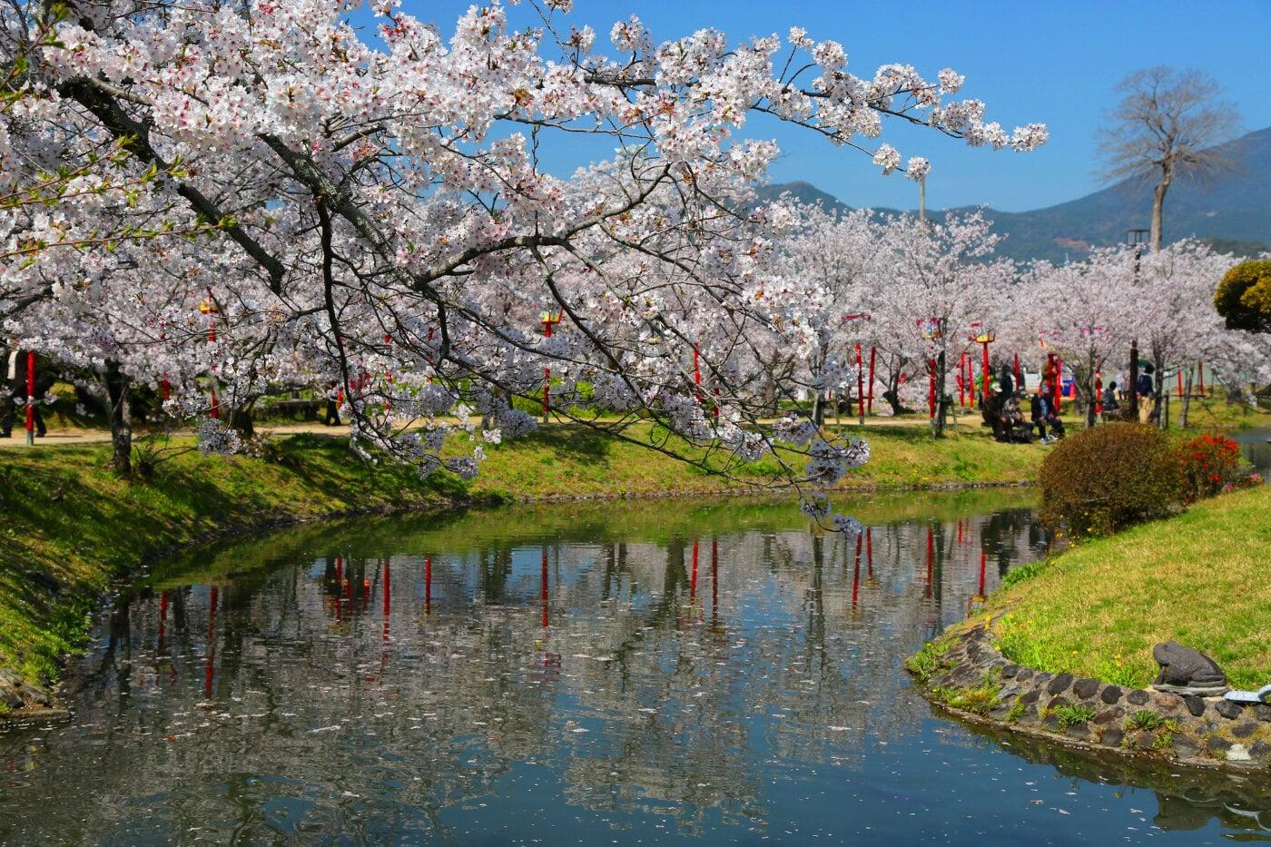 小城公園の写真