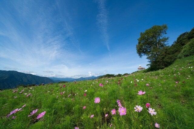 翠波高原の写真