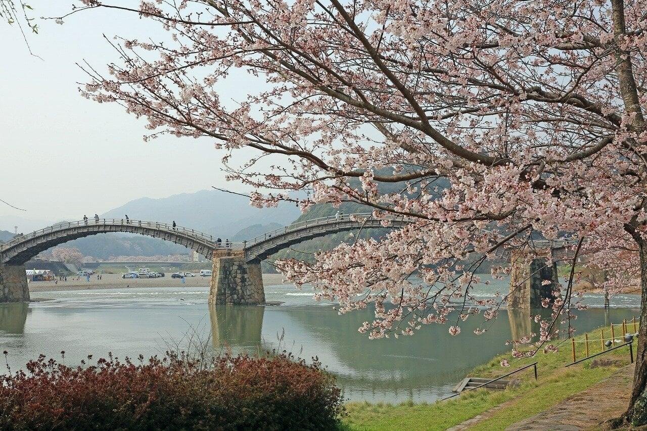 錦帯橋と吉香公園の写真