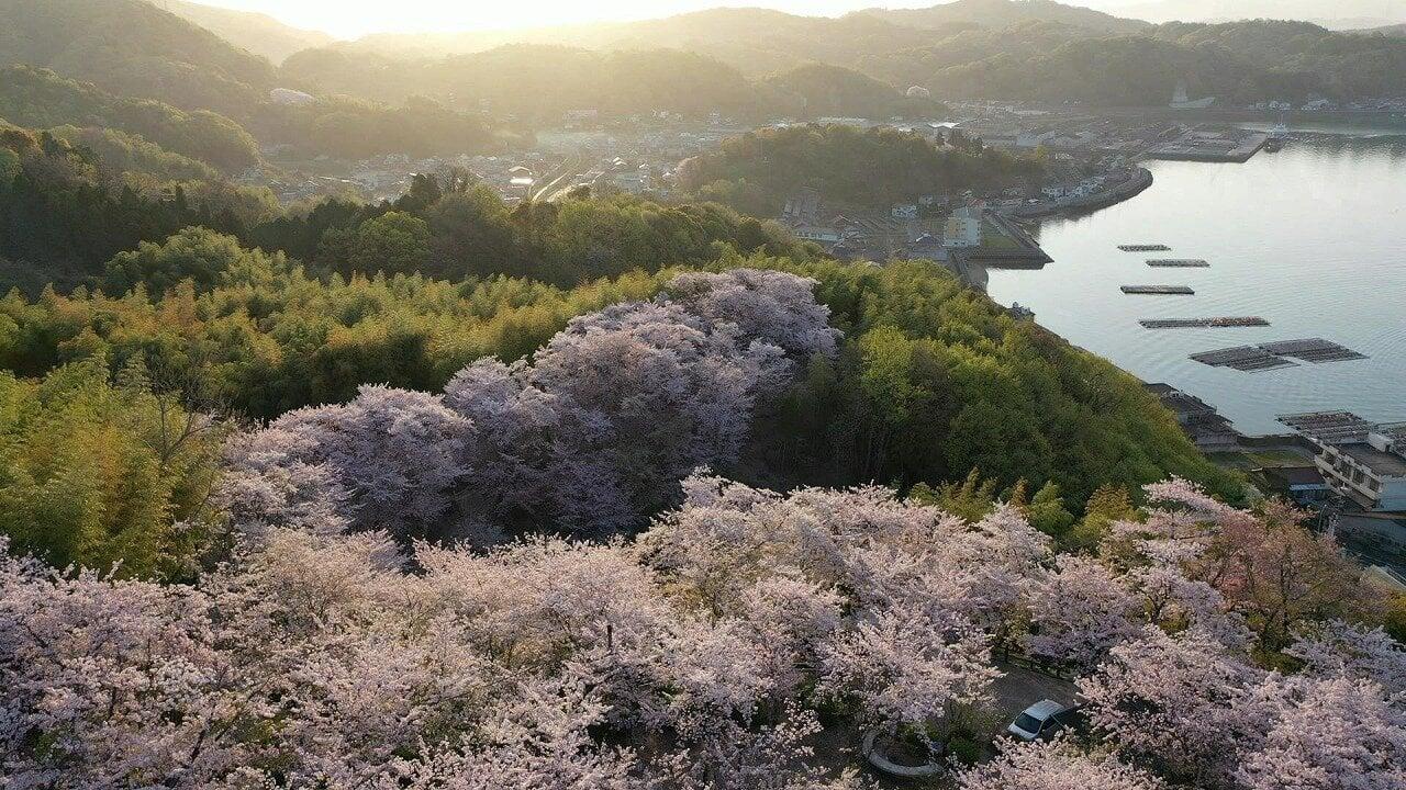正福寺山公園の写真