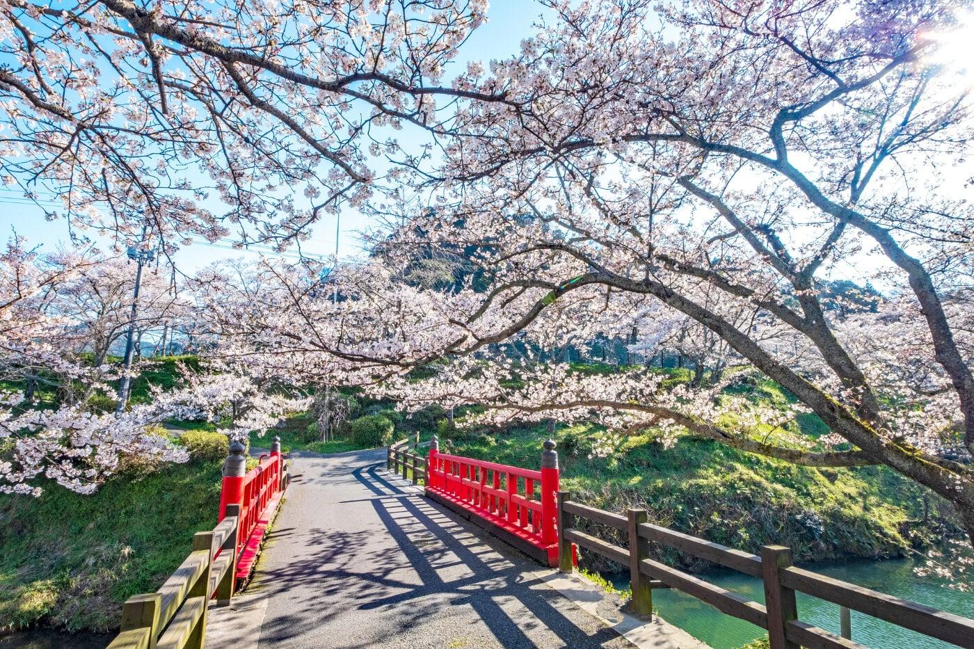 鹿野城跡公園の写真