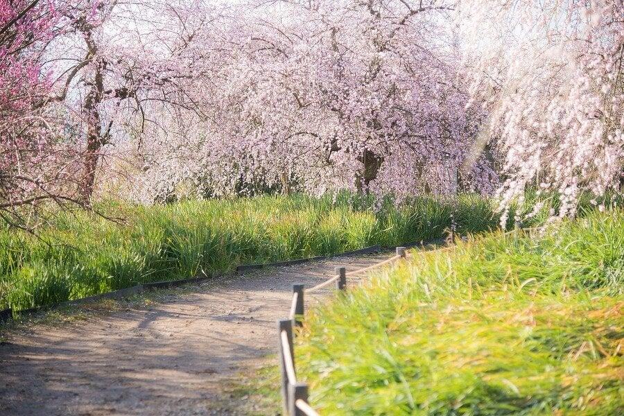 和泉リサイクル環境公園の写真