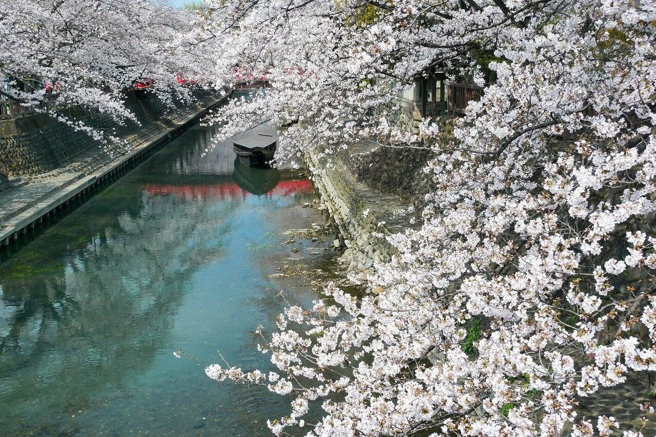 奥の細道むすびの地(大垣船町川湊)の写真