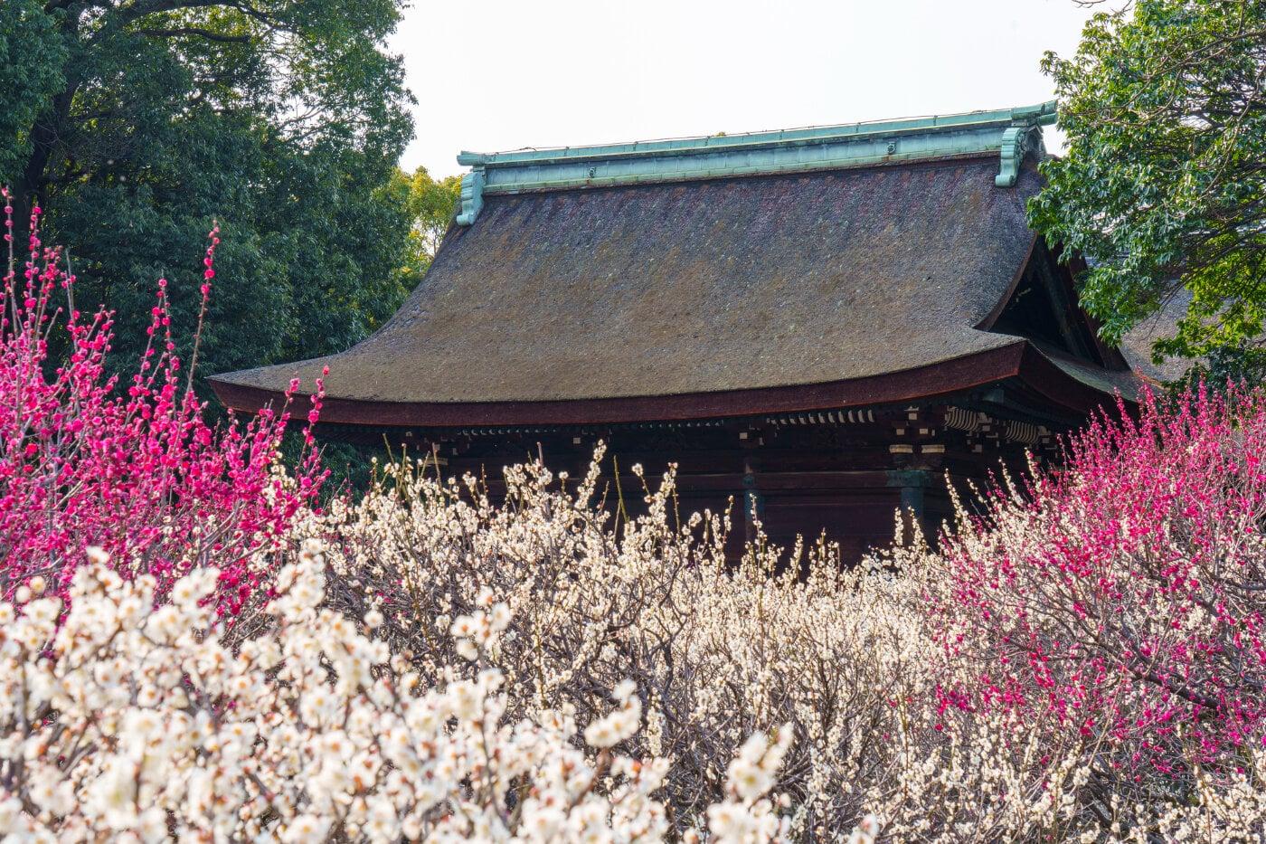 道明寺天満宮の写真