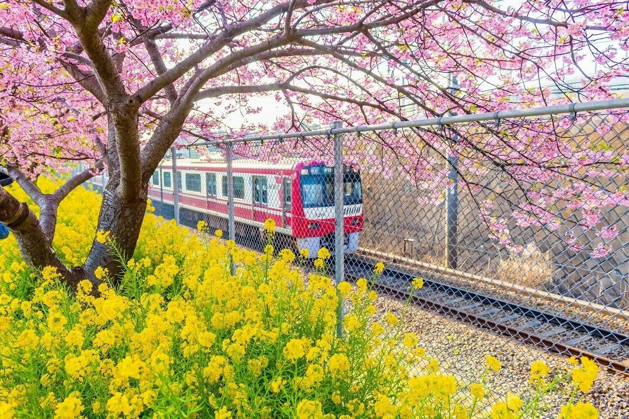 三浦海岸駅の写真