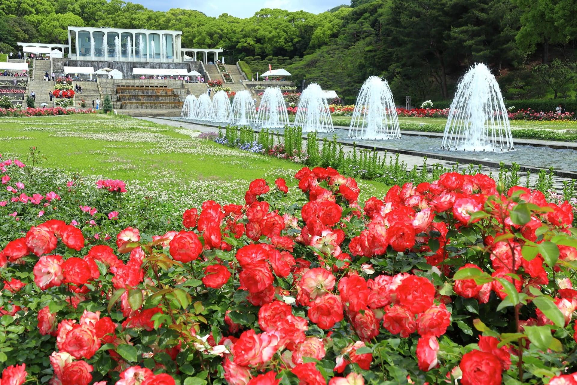 須磨離宮公園の写真