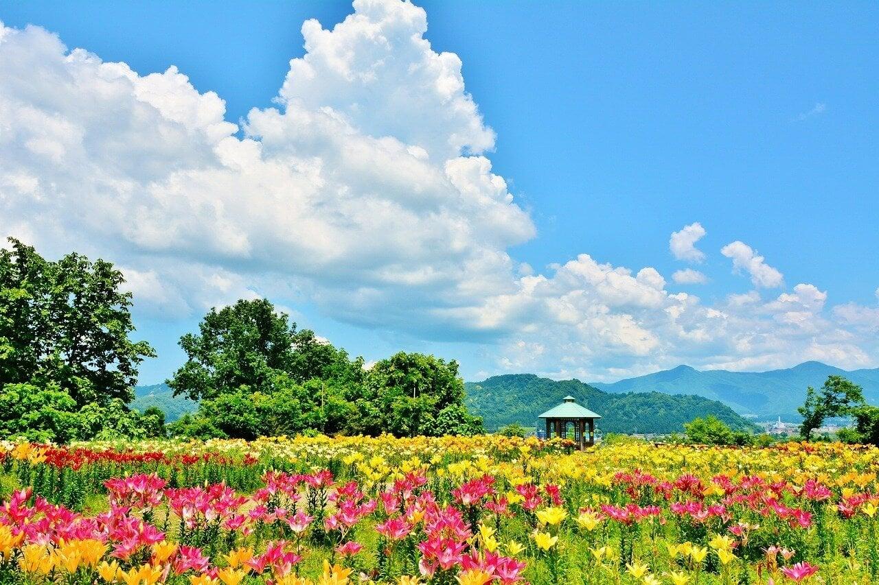 月岡公園の写真