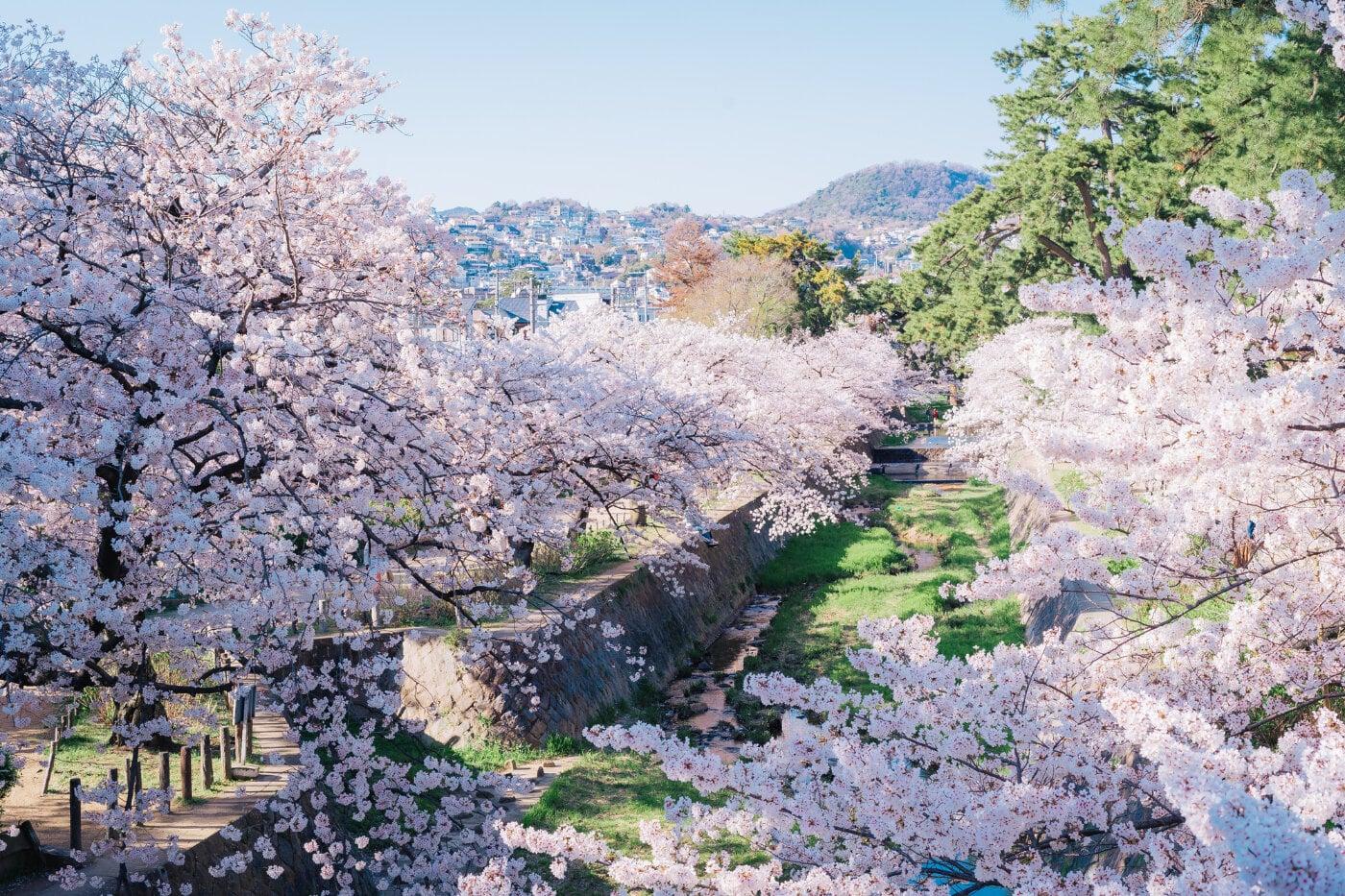 夙川公園の写真