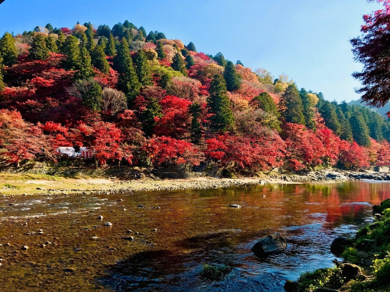 香嵐渓の写真