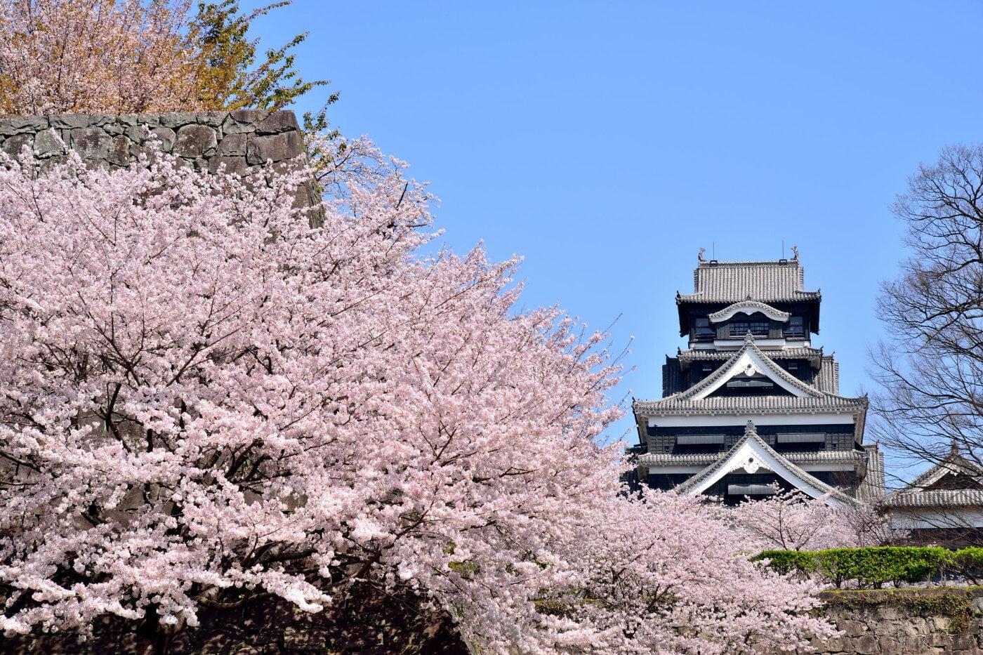熊本城の写真