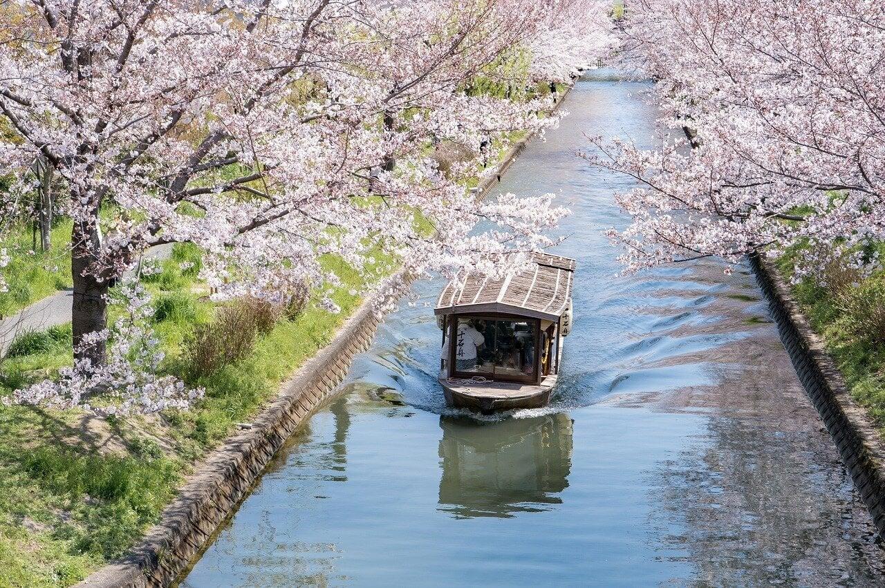 伏見十石舟の写真
