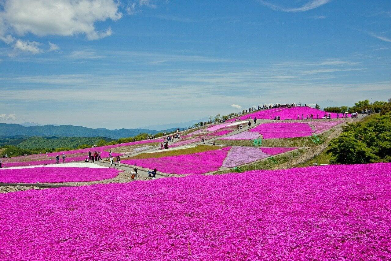 茶臼山高原の写真
